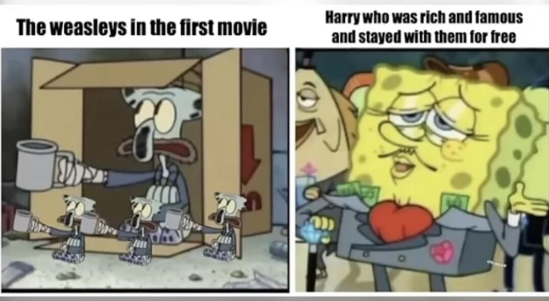 Harry who was rich and famous The weasleys in the first movie and stayed with them for froe