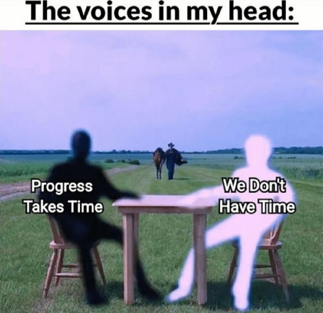 The voices in my head: Progress Takes Time; We Don't Have Time