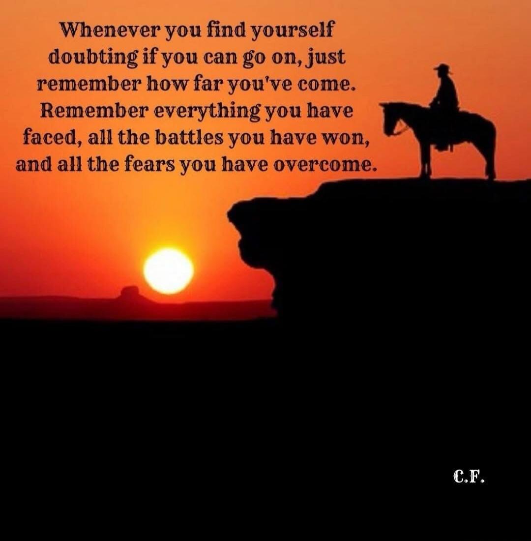 Whenever you find yourself doubting if you can go on, just remember how far you've come. Remember everything you have faced, all the battles you have won, and all the fears you have overcome. C.F.