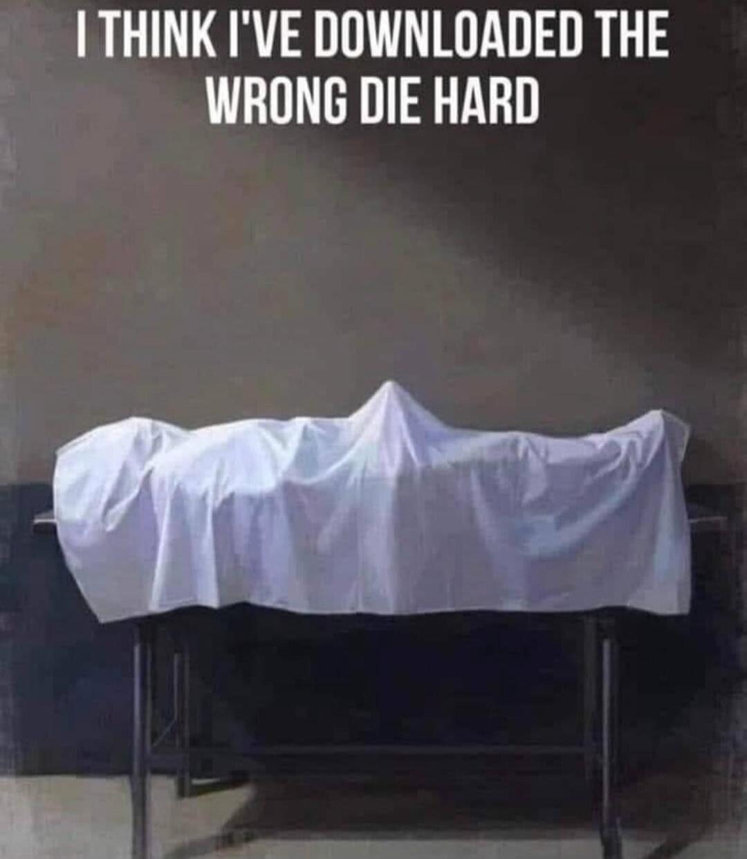 I THINK I'VE DOWNLOADED THE WRONG DIE HARD