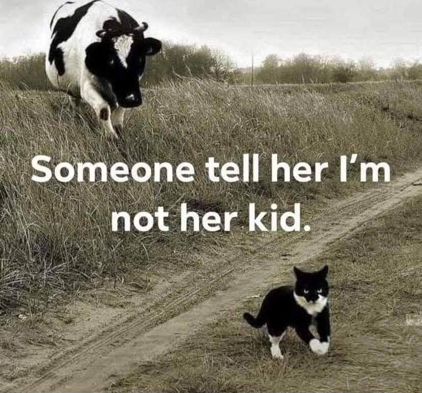 e Someone tell her Im not her kid