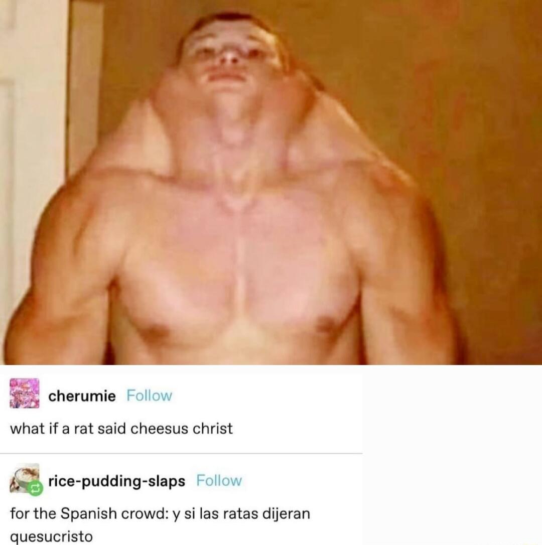 cherumie Follow what if a rat said cheesus christ rice pudding slaps Follov for the Spanish crowd y si las ratas dijeran quesucristo