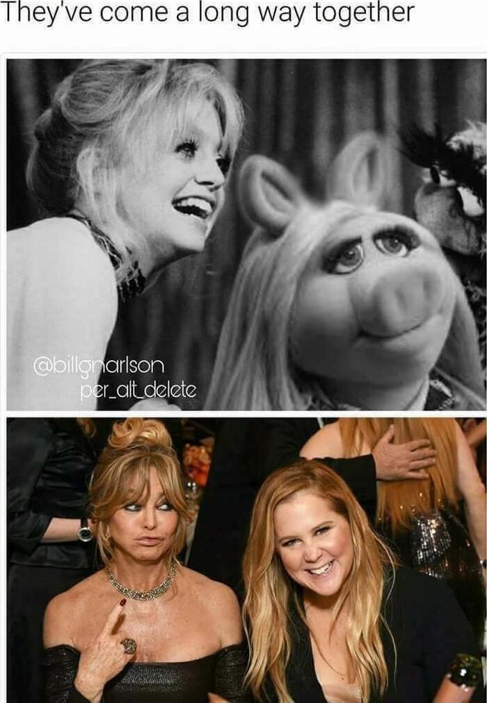 Theyve come a long way together