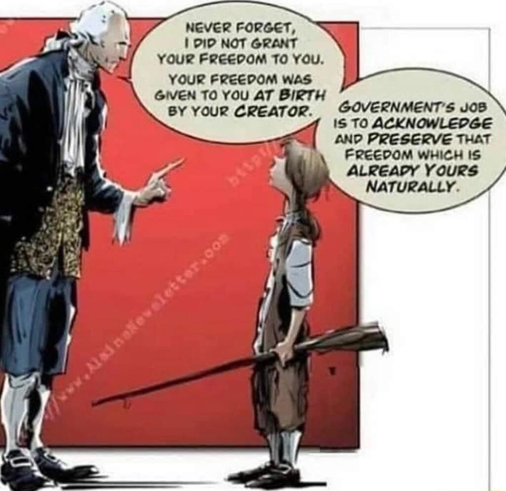 NGVER FORGET 1 91D NOT GRANT YOUR FREGDOM T0 YOU YOUR FREEDOM WES GIVEN T0 YOU AT BIRTH BY YOUR CREATOR GOVERNMENTS yo8 15 T0 ACKNOWLEDGE 20D PRESERVE THAT FRECOOM WHICH 15 ALREAPY YOURS NATURALLY