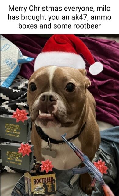 Merry Christmas everyone milo has brought you an ak47 ammo boxes and some rootbeer