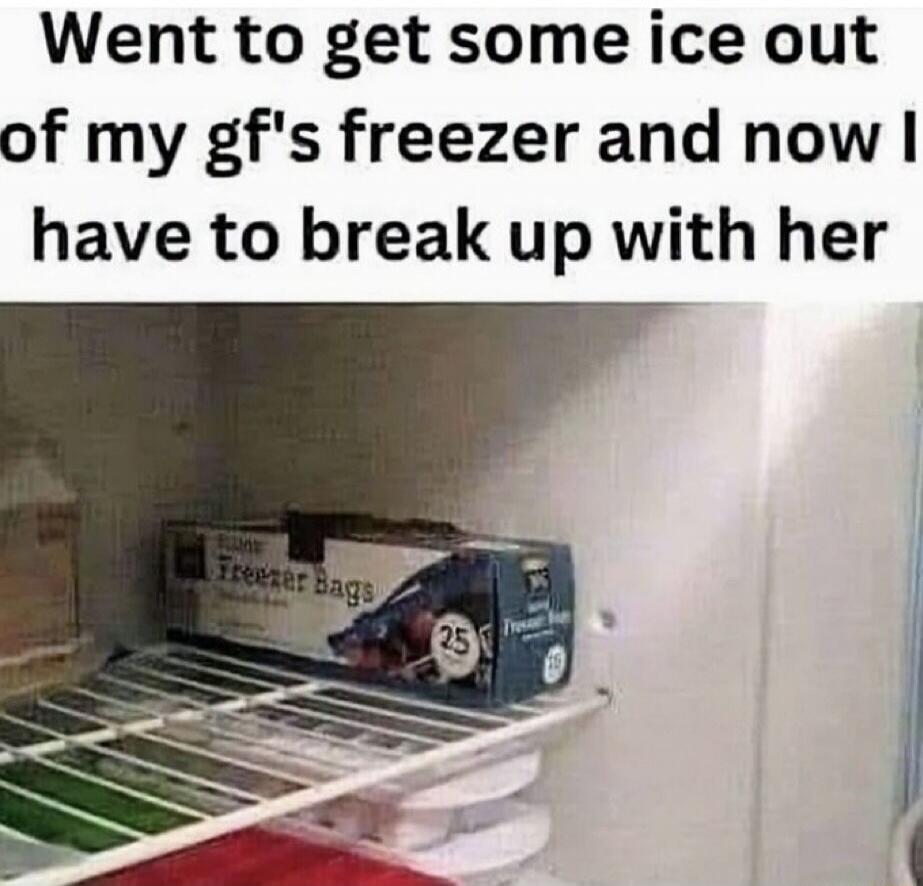 Went to get some ice out of my gf's freezer and now I have to break up with her