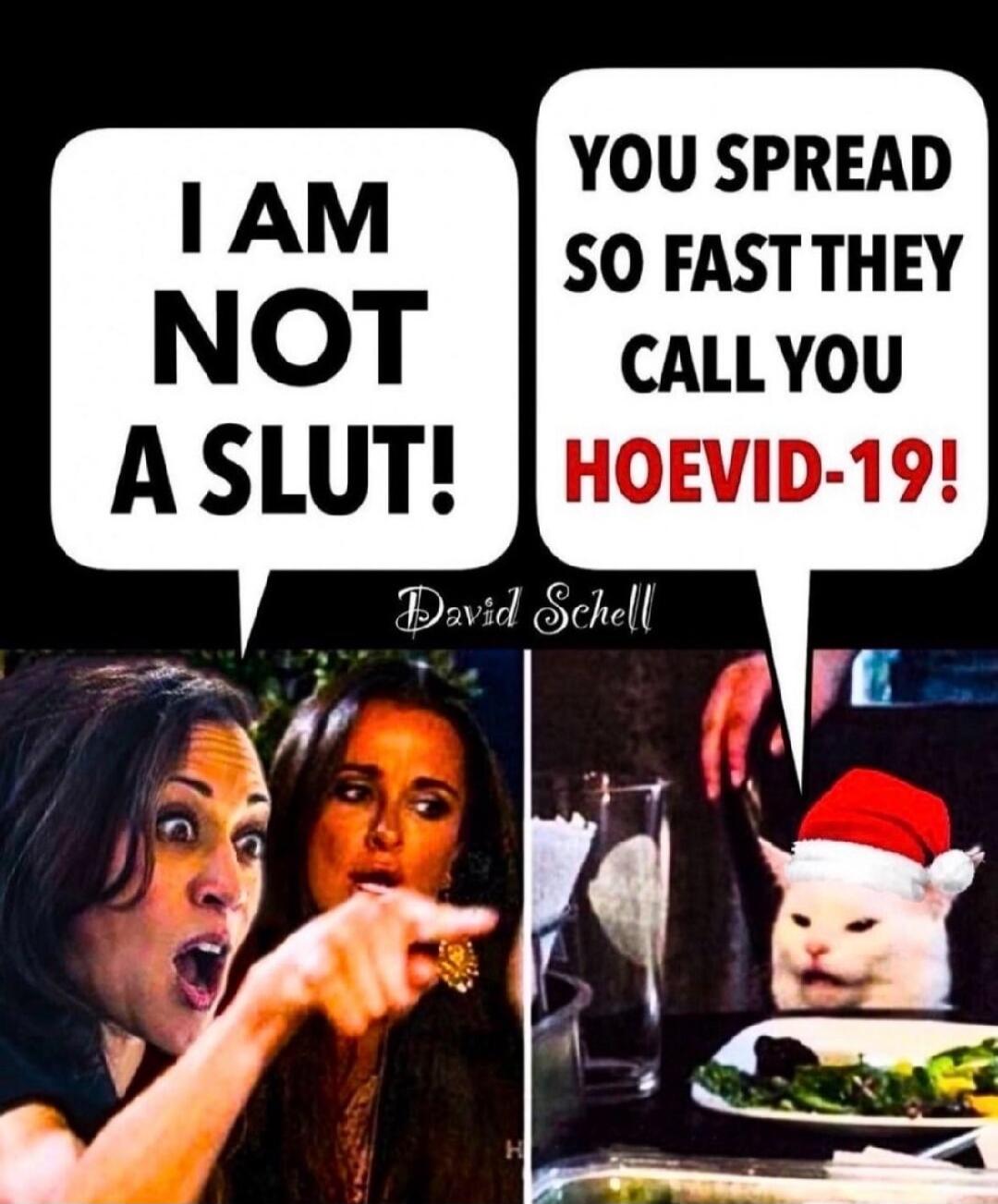 I AM NOT A SLUT! YOU SPREAD SO FAST THEY CALL YOU HOEVID-19! David Schell