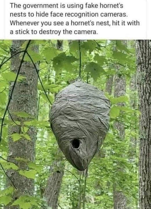 The government is using fake hornets nests to hide face recognition cameras Whenever you see a hornets nest hit it with a stick to destroy the camera