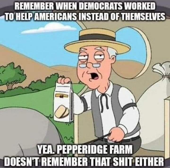 REMEMBER WHEN DEMOCRATS WORKED TO HELP AMERICANS INSTEAD OF THEMSELVES YEA. PEPPERIDGE FARM DOESN'T REMEMBER THAT SHIT EITHER