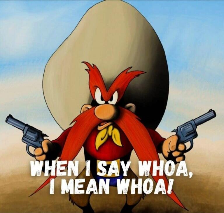 WHEN I SAY WHOA, I MEAN WHOA!
