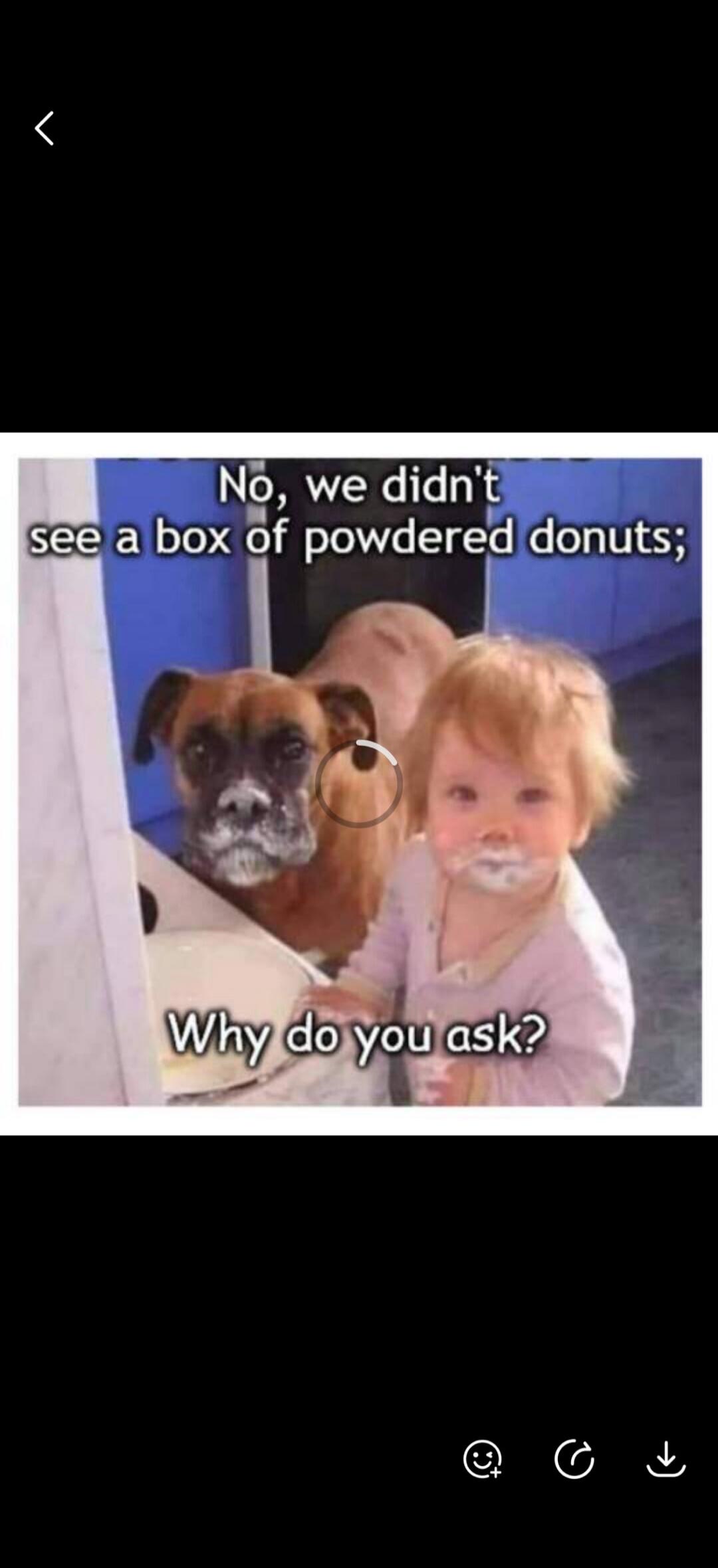 No, we didn't see a box of powdered donuts; Why do you ask?