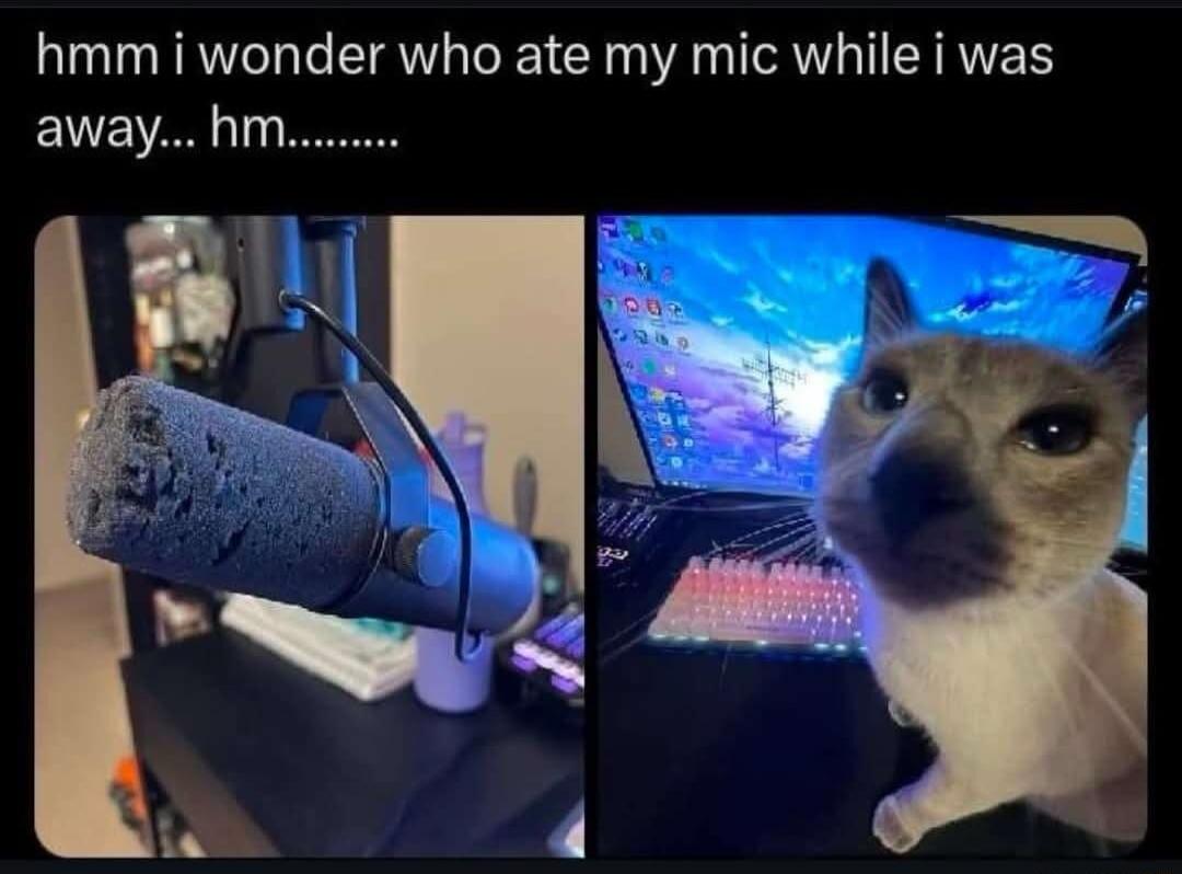 hmm i wonder who ate my mic while i was