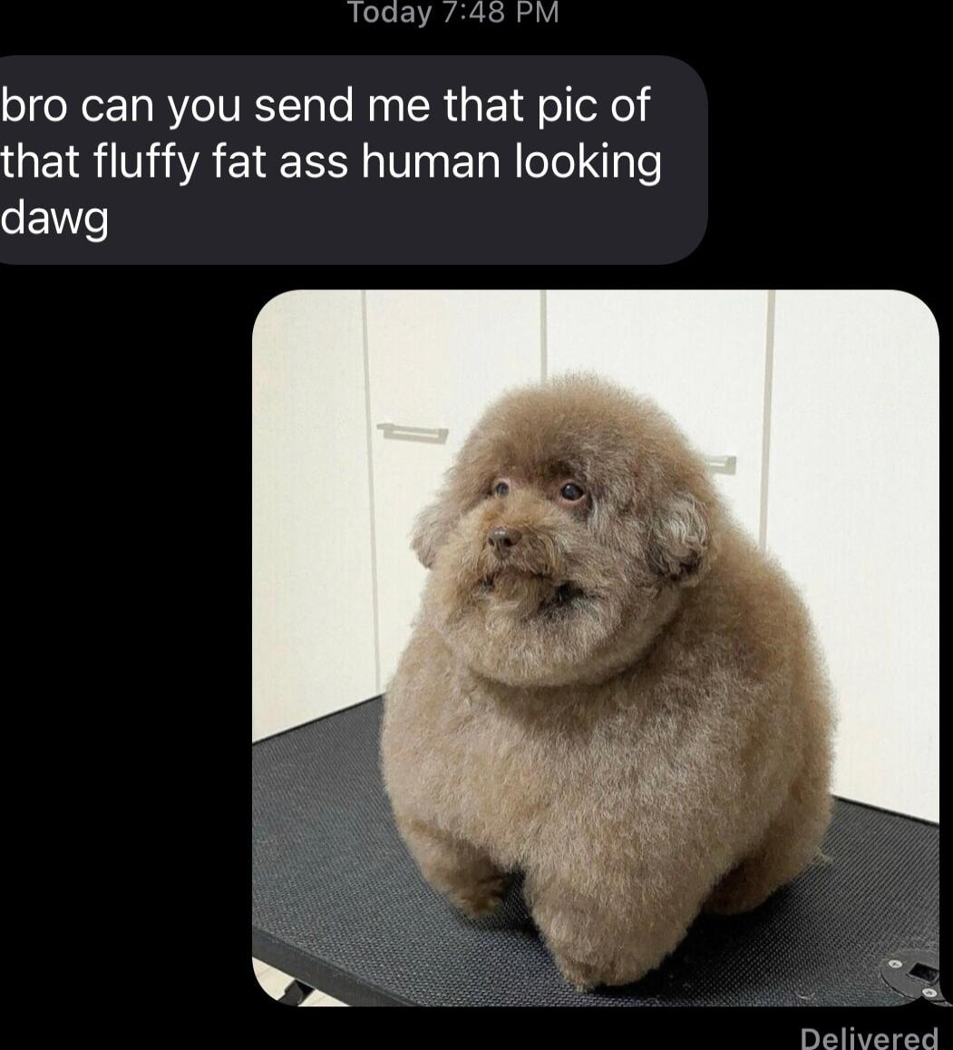 loaay bro can you send me that pic of GEIRNIAETE S T El N eTe qale oEe S Dalivared