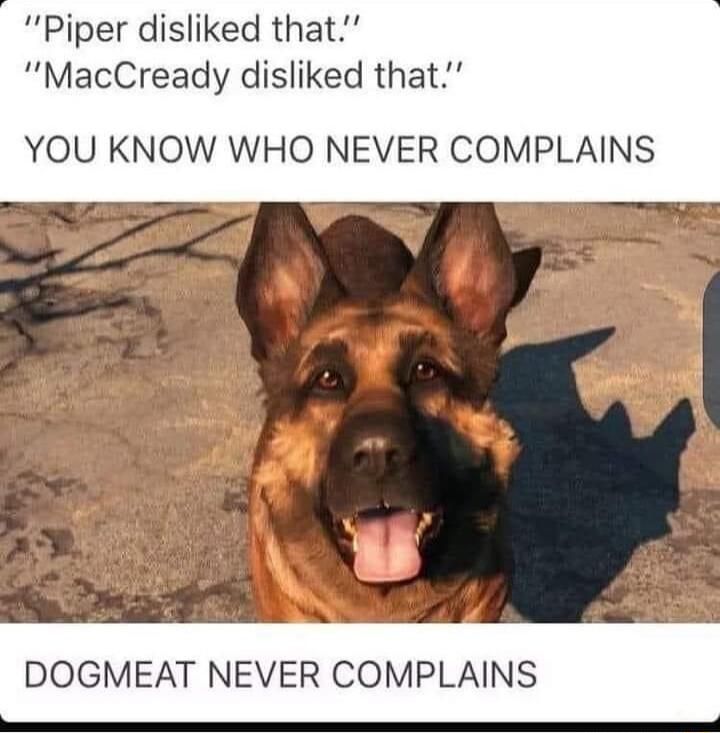 Piper disliked that MacCready disliked that YOU KNOW WHO NEVER COMPLAINS DOGMEAT NEVER COMPLAINS