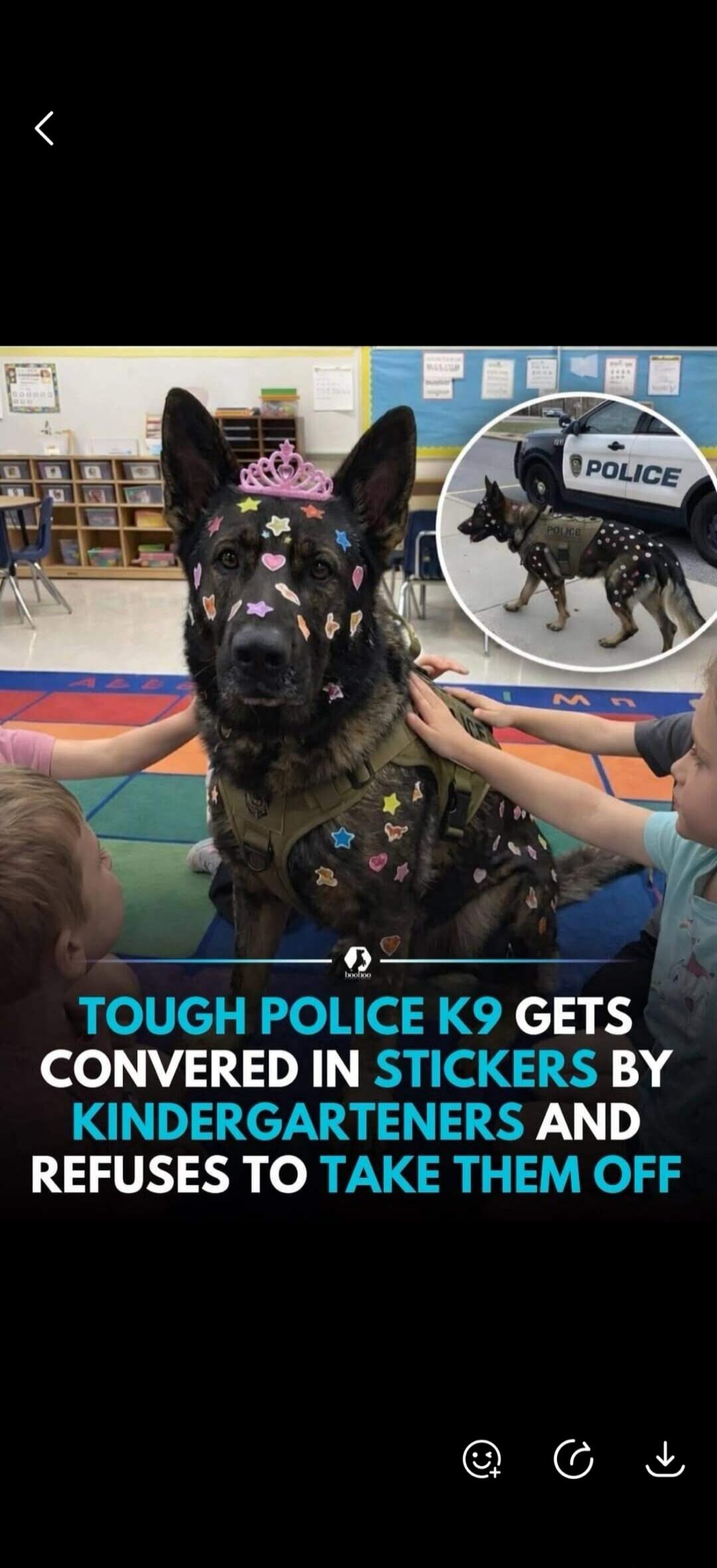 TOUGH POLICE K9 GETS COVERED IN STICKERS BY KINDERGARTENERS AND REFUSES TO TAKE THEM OFF