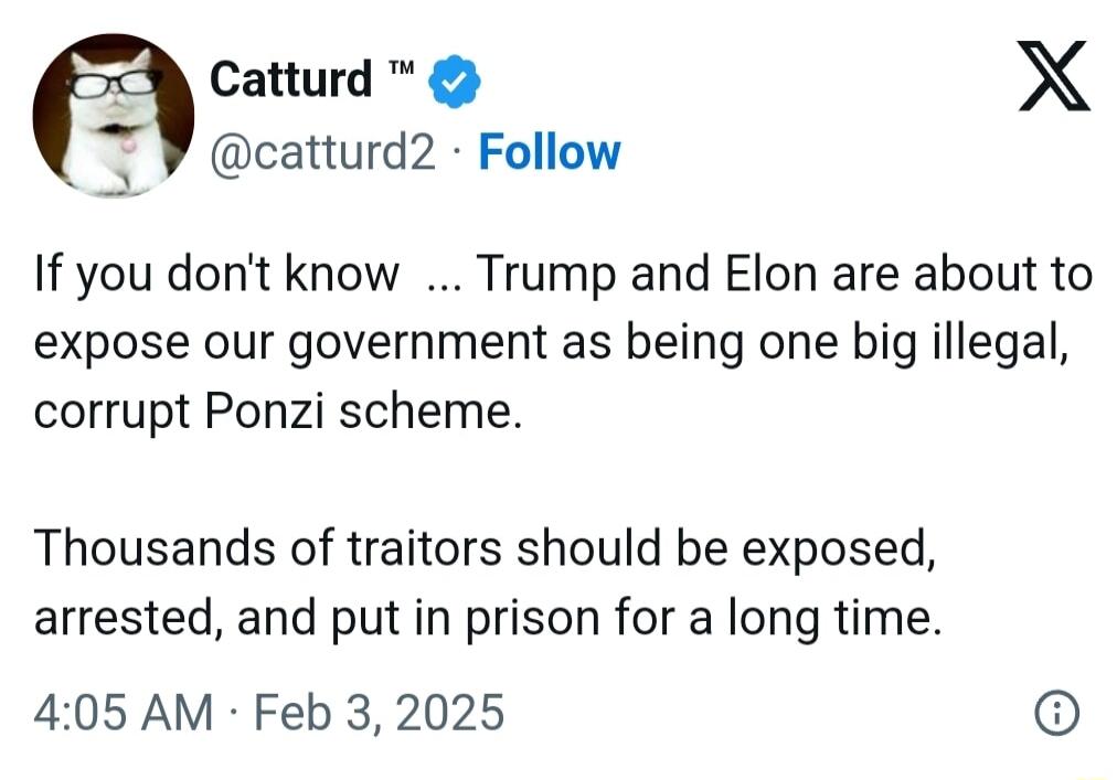 Catturd X catturd2 Follow If you dont know Trump and Elon are about to expose our government as being one big illegal corrupt Ponzi scheme Thousands of traitors should be exposed arrested and put in prison for a long time 405 AM Feb 3 2025