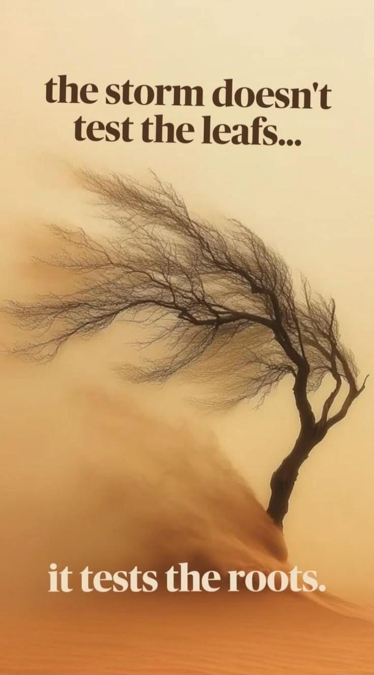 the storm doesn't test the leafs... it tests the roots.