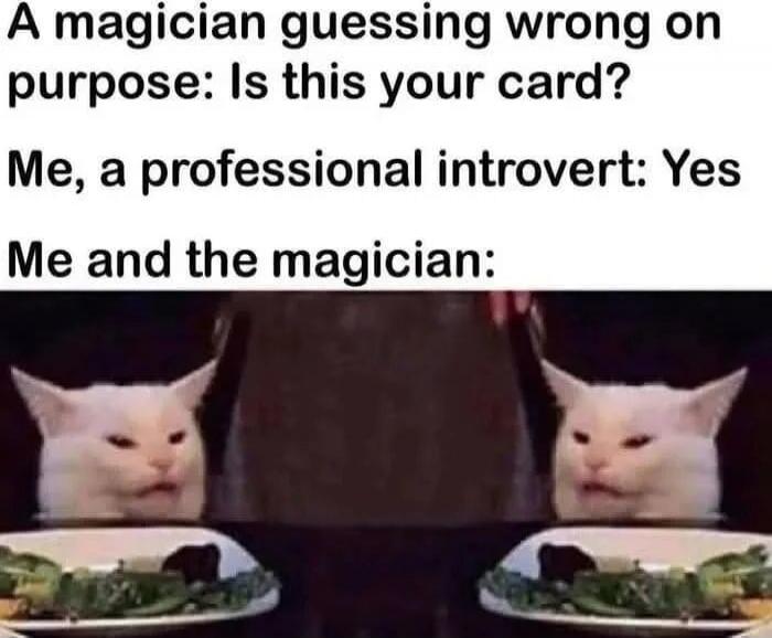 A magician guessing wrong on purpose: Is this your card? Me, a professional introvert: Yes Me and the magician:
