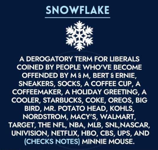 SNOWFLAKE A DEROGATORY TERM FOR LIBERALS COINED BY PEOPLE WHOVE BECOME OFFENDED BY M M BERT ERNIE SNEAKERS SOCKS A COFFEE CUP A COFFEEMAKER A HOLIDAY GREETING A COOLER STARBUCKS COKE OREOS BIG BIRD MR POTATO HEAD KOHLS NORDSTROM MACYS WALMART TARGET THE NFL NBA MLB SNLNASCAR UNIVISION NETFLIX HBO CBS UPS AND CHECKS NOTES MINNIE MOUSE
