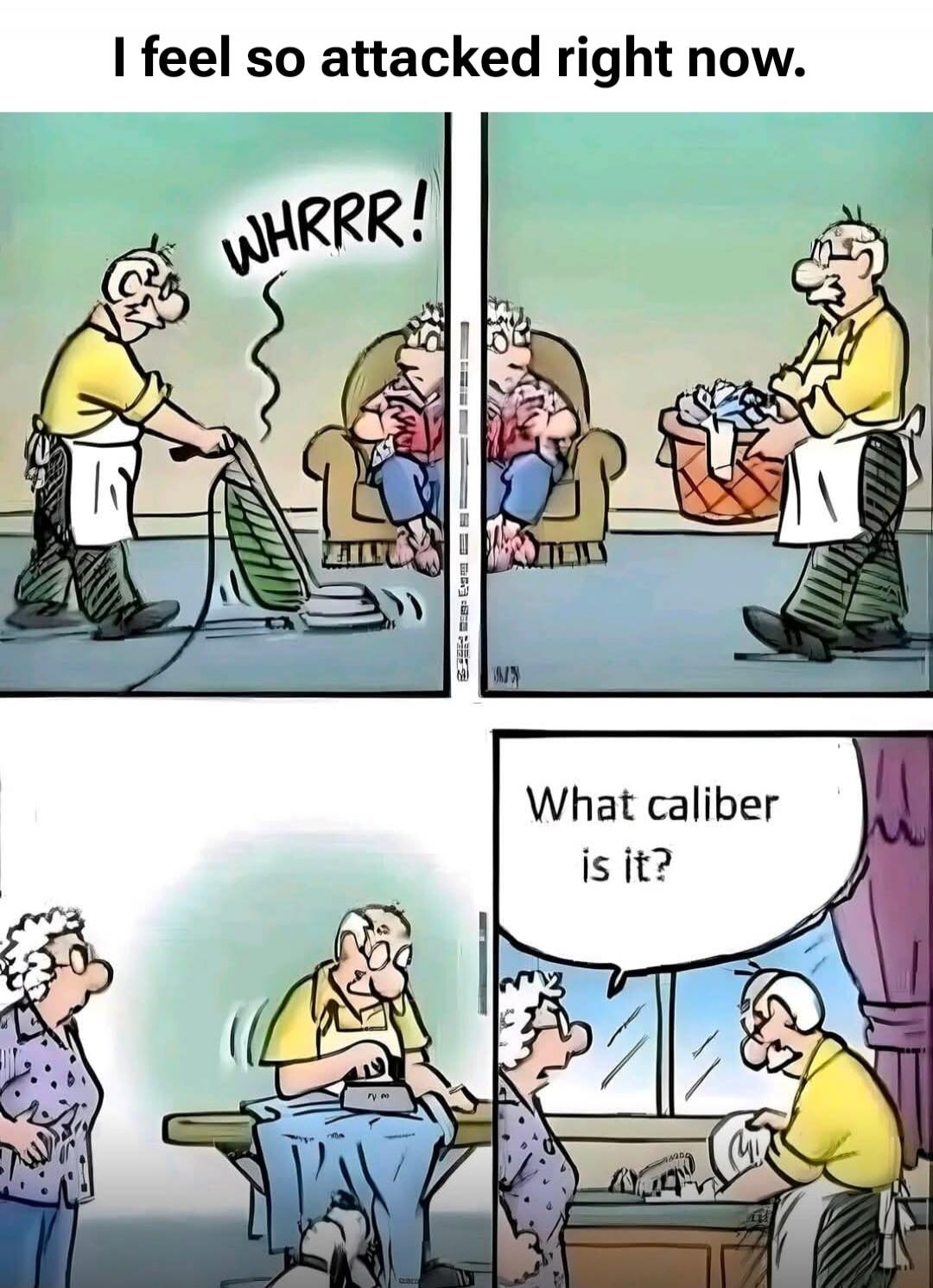 I feel so attacked right now. WHRRR! What caliber is it?