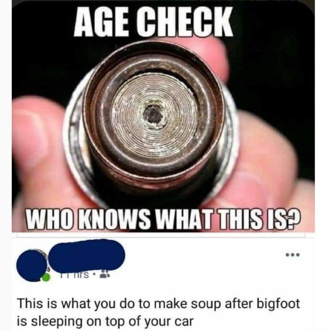 This is what you do to make soup after bigfoot is sleeping on top of your car