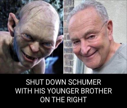 SHUT DOWN SCHUMER WITH HIS YOUNGER BROTHER ON THE RIGHT