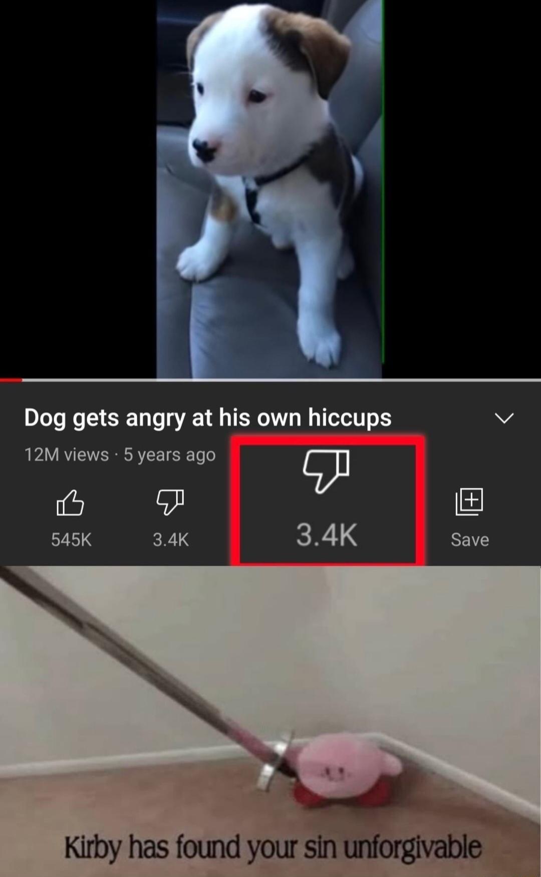Dog gets angry at his own hiccups v 12M views 5 years ago g LEIY 545K 34K 34K save