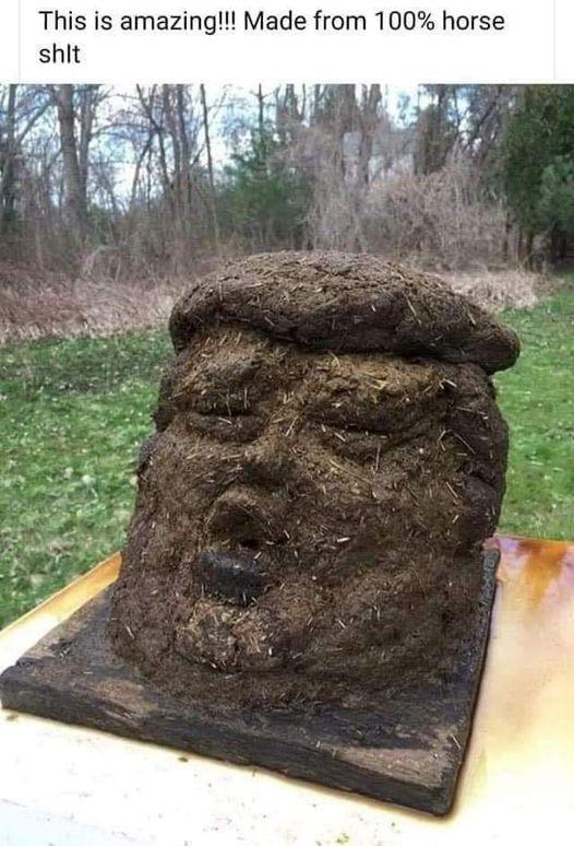 This is amazing Made from 100 horse shit
