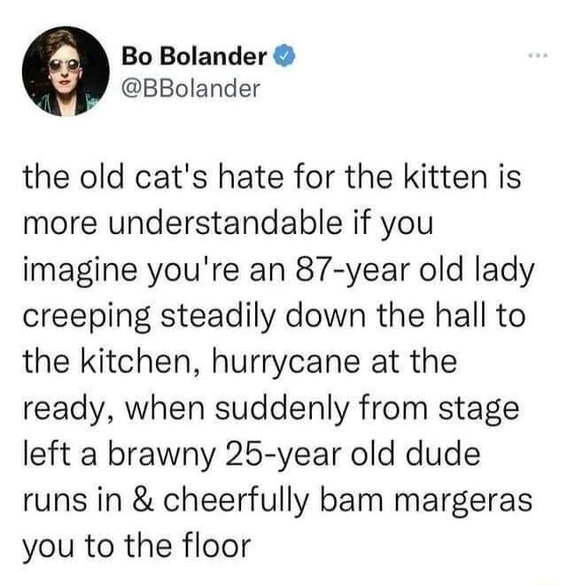 Bo Bolander BBolander the old cats hate for the kitten is more understandable if you imagine youre an 87 year old lady creeping steadily down the hall to the kitchen hurrycane at the ready when suddenly from stage left a brawny 25 year old dude runs in cheerfully bam margeras you to the floor