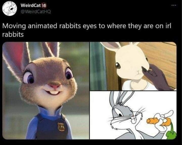 WeirdCat 8 Moving animated rabbits eyes to where they are on irl rabbits k 142K 139 1577K