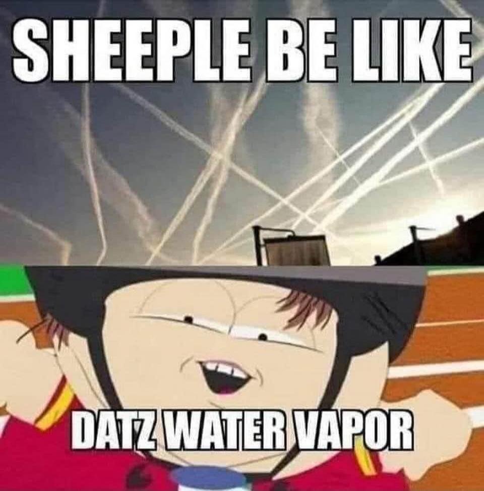 SHEEPLE BE LIKE DATZ WATER VAPOR
