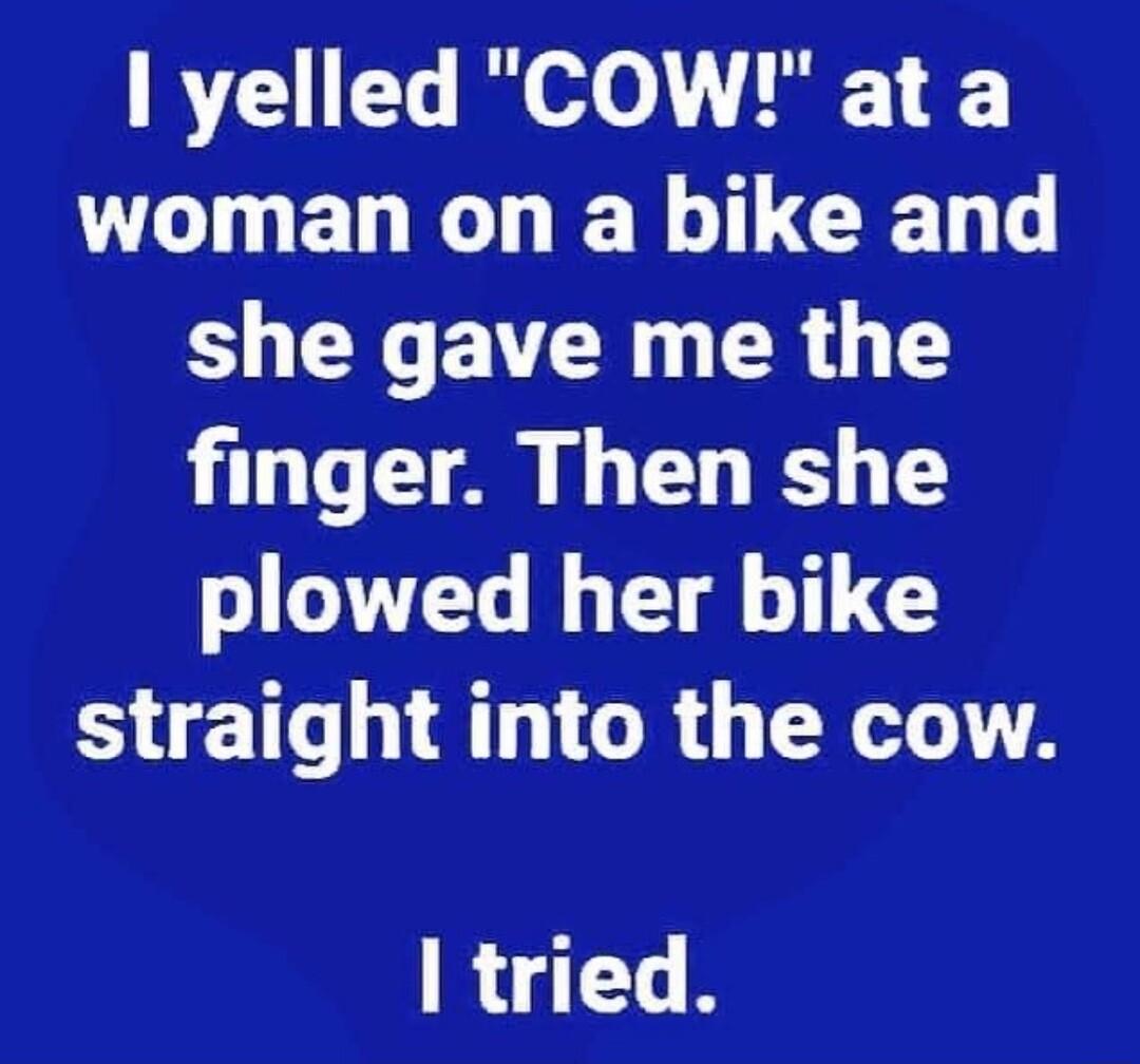 I yelled COW at a VLI ELRE R TLCEL T RN ER G finger Then she plowed her bike straight into the cow tried