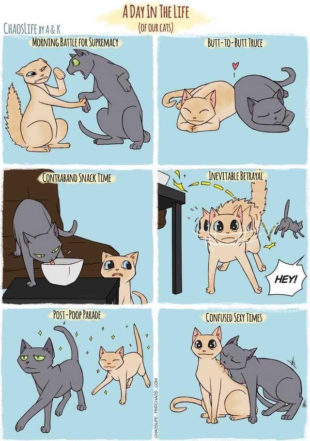 ADAYIN THeLIFE oo BuTi To Burt Tuce v N IMVAIU T K k i_7