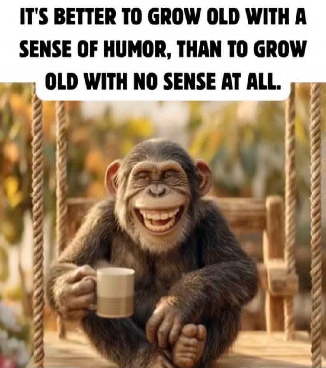 IT'S BETTER TO GROW OLD WITH A SENSE OF HUMOR, THAN TO GROW OLD WITH NO SENSE AT ALL.