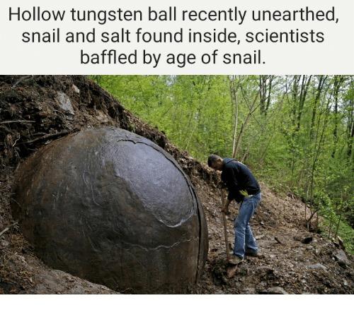 Hollow tungsten ball recently unearthed snail and salt found inside scientists baffled by age of snail i
