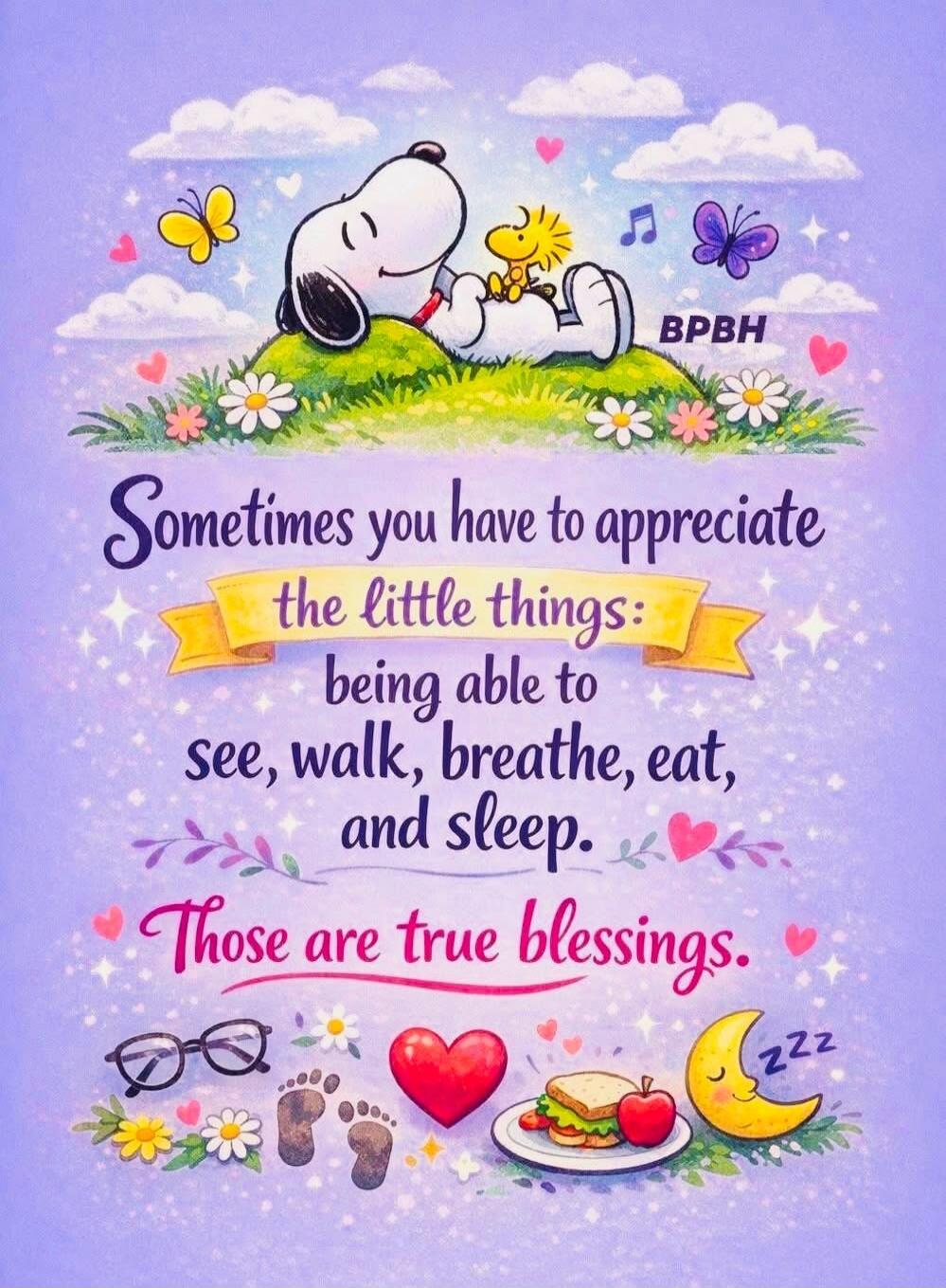 BPBH
Sometimes you have to appreciate the little things: being able to see, walk, breathe, eat, and sleep. Those are true blessings.