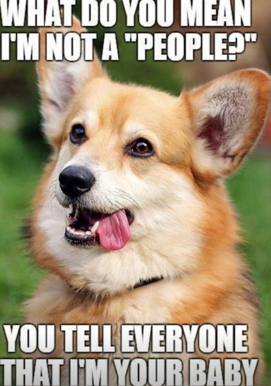 WHAT DO YOU MEAN I'M NOT A 'PEOPLE' YOU TELL EVERYONE THAT I'M YOUR BABY