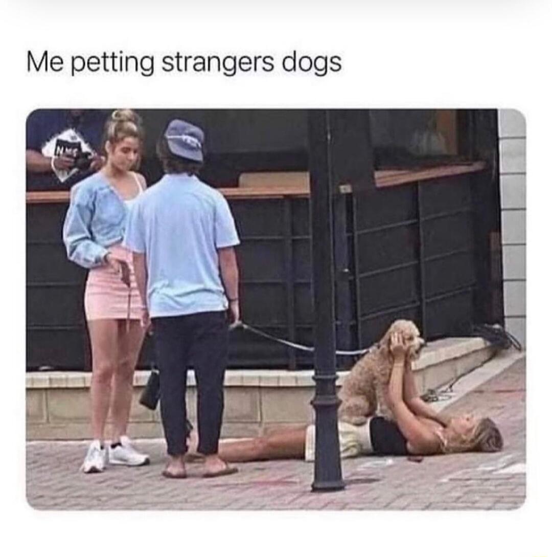 Me petting strangers dogs