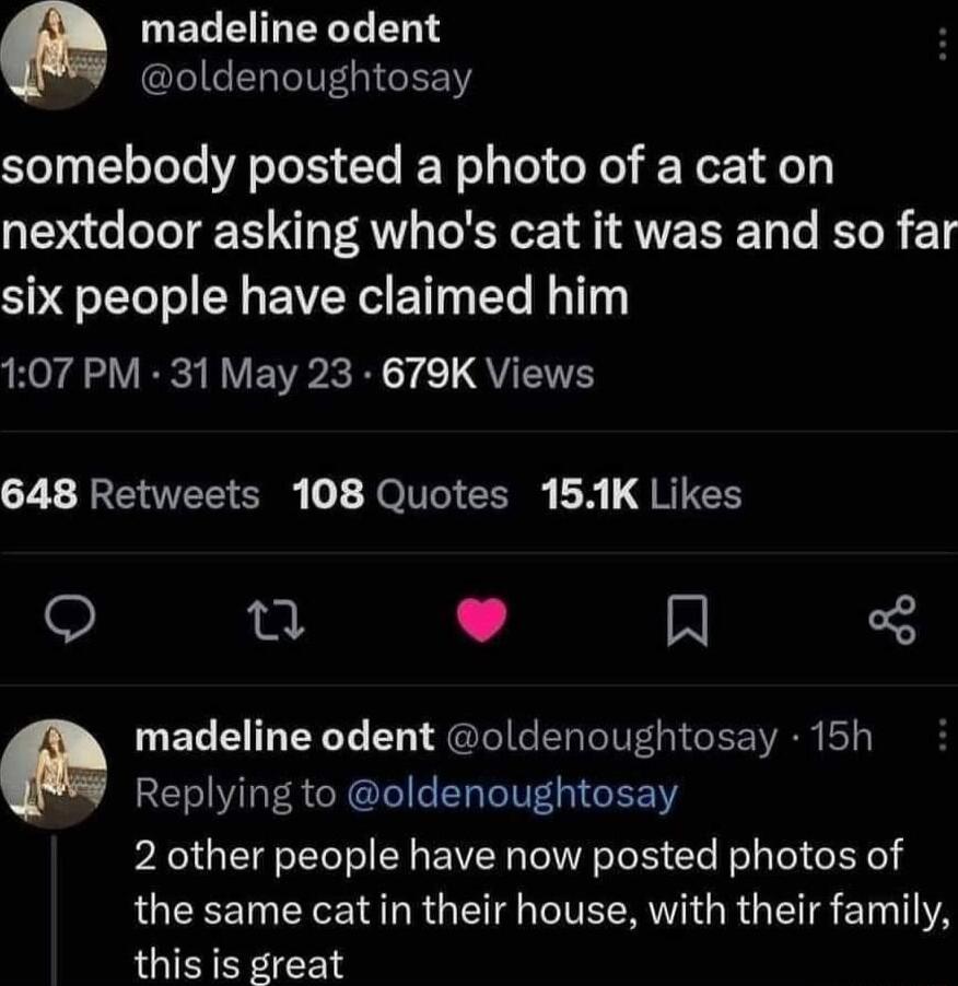 UELEINELTEN oldenoughtosay somebody posted a photo of a cat on nextdoor asking whos cat it was and so far six people have claimed him 107 PM 31 May 23 679K Views 22 REAER SR JOlNCICER Lh QRICH o J N madeline odent oldenoughtosay 15h a Replying to oldenoughtosay 2 other people have now posted photos of LGEEET LR R G VR G R T 1T YA this is great