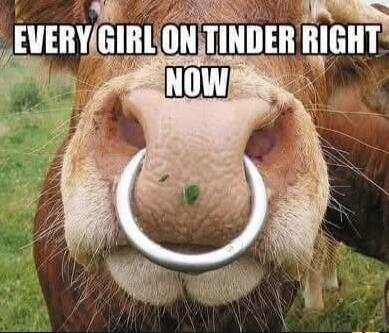 EVERY GIRL ON TINDER RIGHT NOW