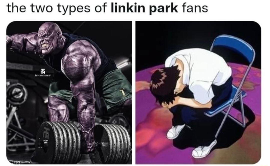 the two types of linkin park fans