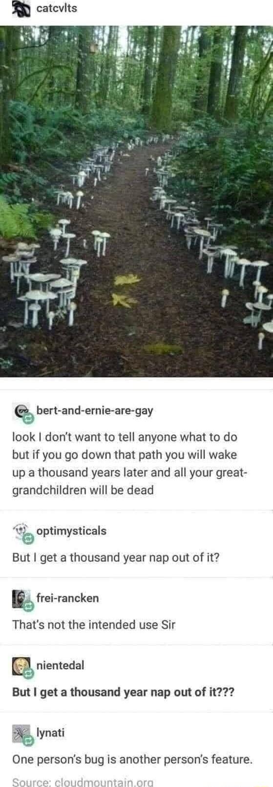 bert and ernie are gay look dont want to tell anyone what to do but if you go down that path you will wake up a thousand years later and all your great grandchildren will be dead optimysticals But get a thousand year nap out of it u_ frei rancken Thats not the intended use Sir nientedal But get a thousand year nap out of it 2 lynati One persons bug is another persons feature