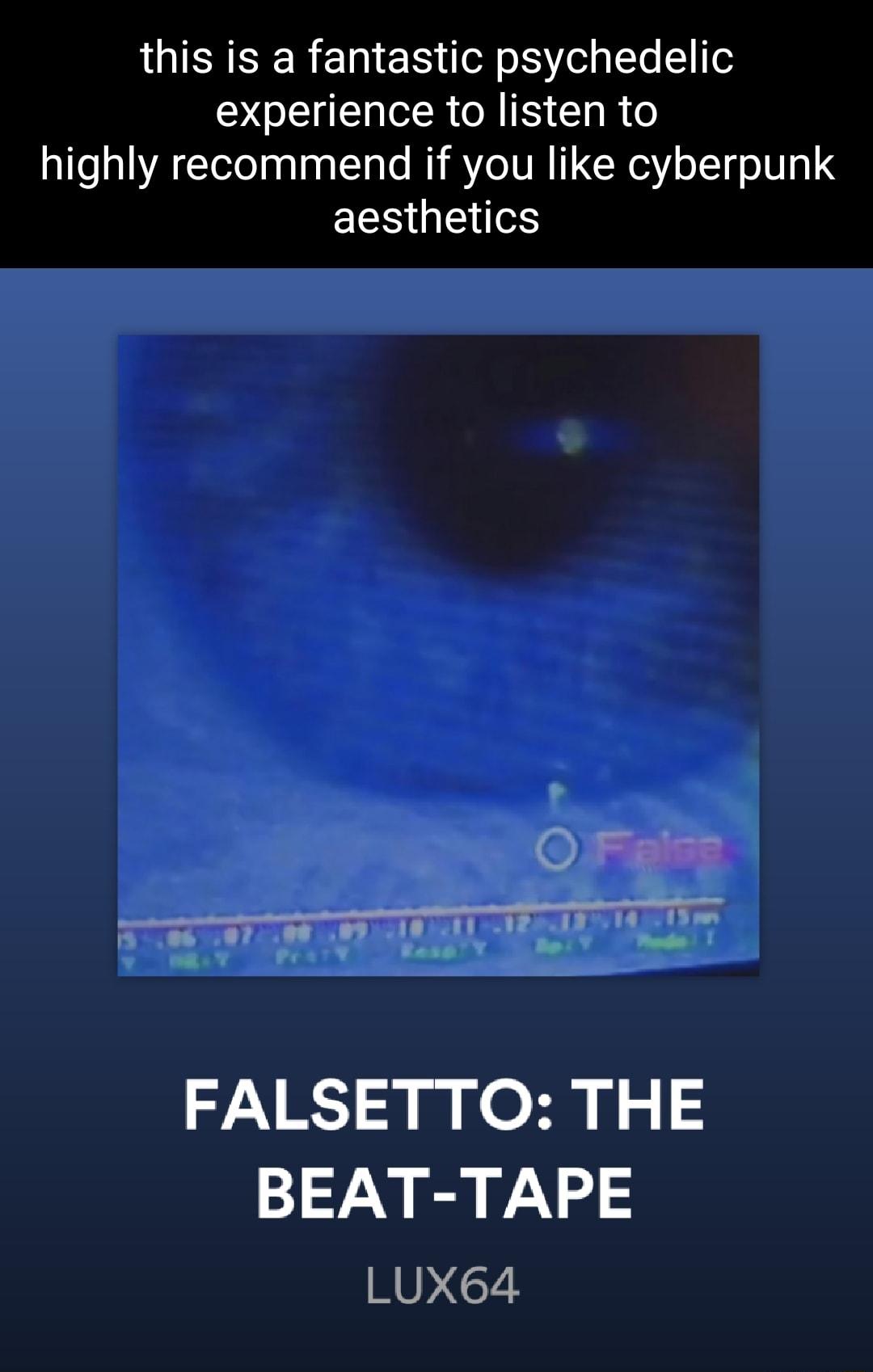 this is a fantastic psychedelic experience to listen to highly recommend if you like cyberpunk EES G FALSETTO THE BEAT TAPE LUX64