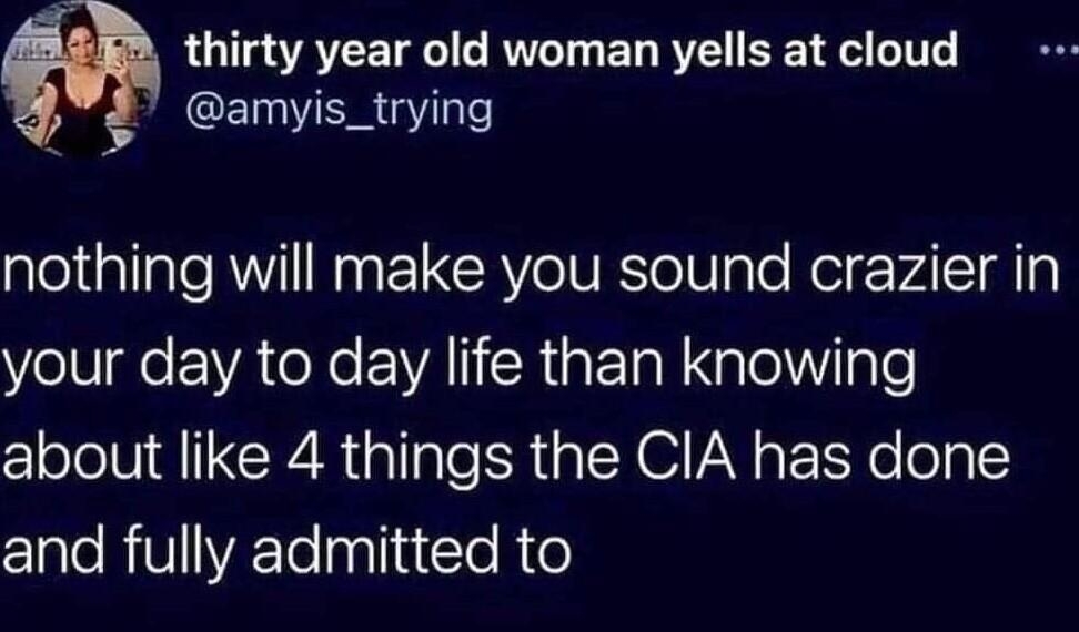 f thirty year old woman yells at cloud ELER Y nothing will make you sound crazier in YolS o A o Xe VAR a tTa N Ng Lol oo about like 4 things the CIA has done c1alo RVVaTe paliaiYo Ree 22E DA QIAI91 Tunttar far iDhAna
