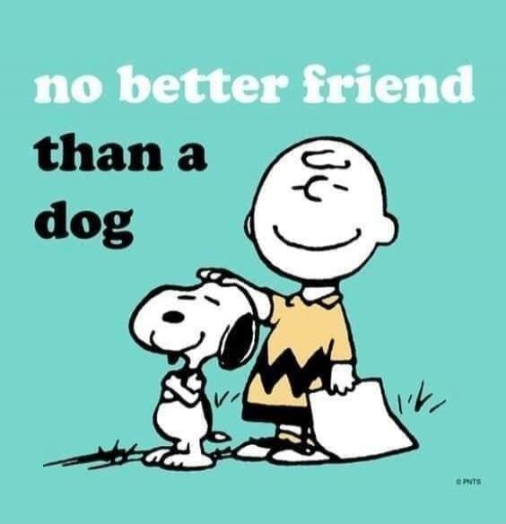 no better friend than a dog