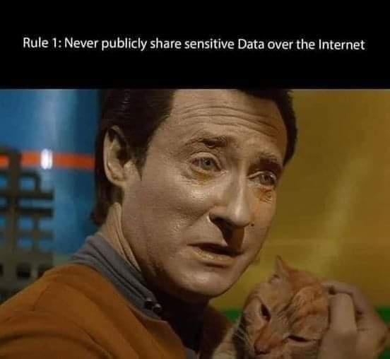 Rule 1 Never publicly share sensitive Data over the Internet