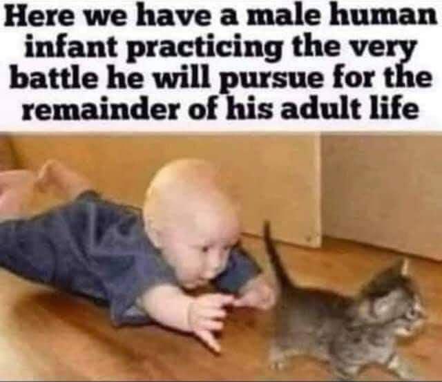 Here we have a male human infant practicing the ve battle he will pursue for the remainder of his adult life