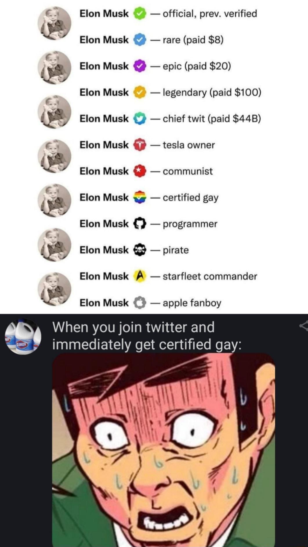 Elon Musk official prev verified Elon Musk rare paid 8 Q Elon Musk epic paid 20 Elon Musk legendary paid 100 LE Elon Musk chief twit paid 448 Elon Musk 3 tesla owner Elon Musk communist 23 Elon Musk g certified gay Elon Musk programmer QI Elon Musk pirate Elon Musk A starfleet commander L Elon Musk 3 apple fanboy When you join twitter and immediately get certified gay