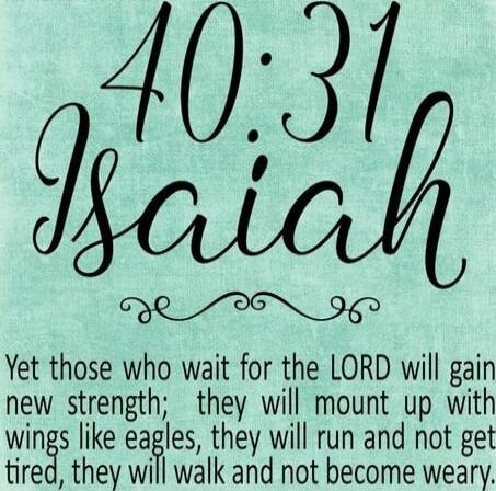 40:31 Isaiah Yet those who wait for the LORD will gain new strength; they will mount up with wings like eagles, they will run and not get tired, they will walk and not become weary.