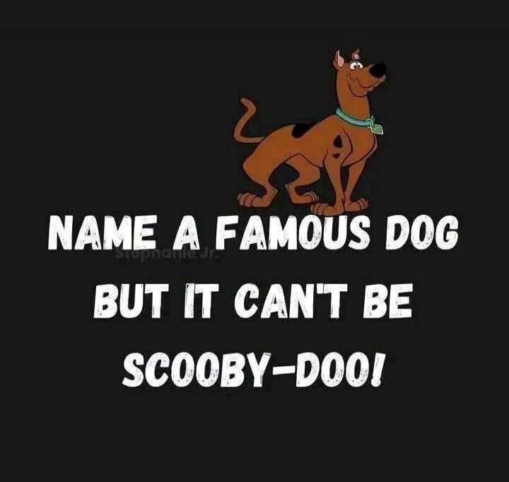 NAME A FAMOUS DOG BUT IT CAN'T BE SCOOBY-DOO!